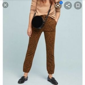 NEW anthropologie × sanctuary leopard joggers